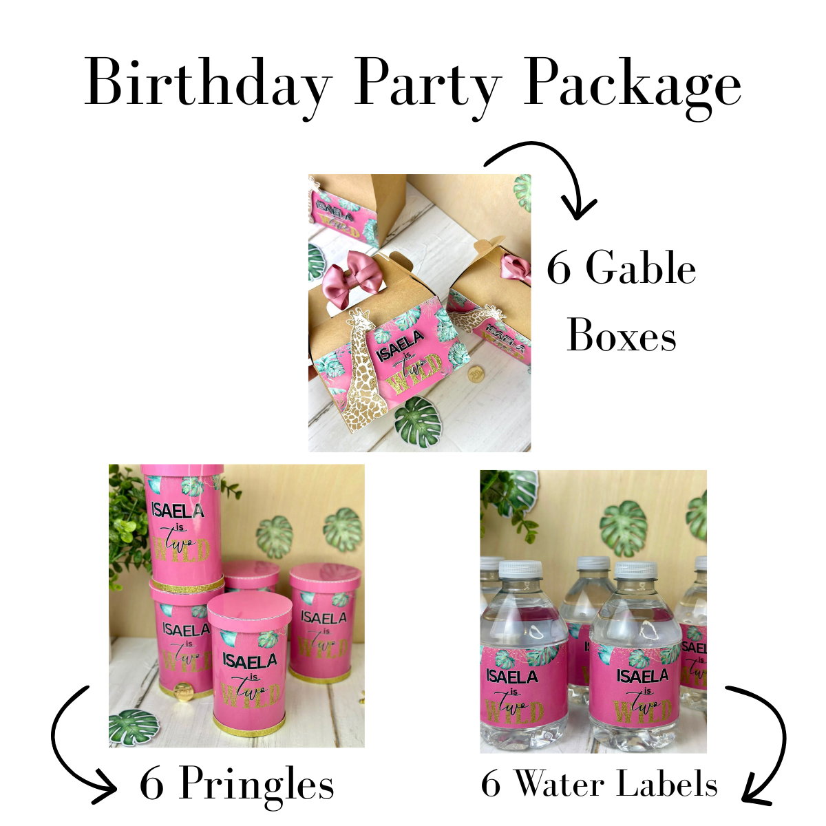 Safari Birthday Package- Party Kits