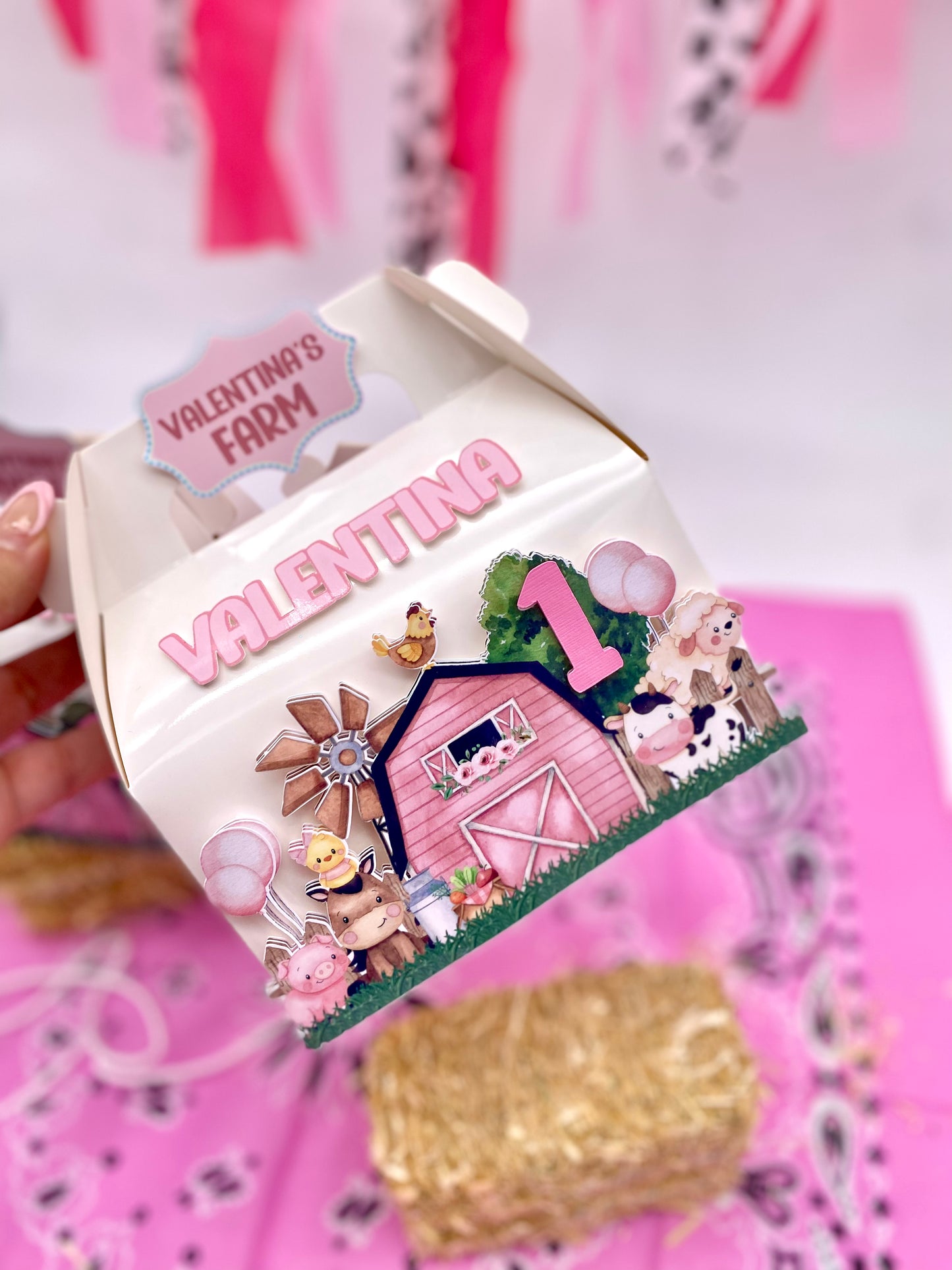Farm Birthday boxes