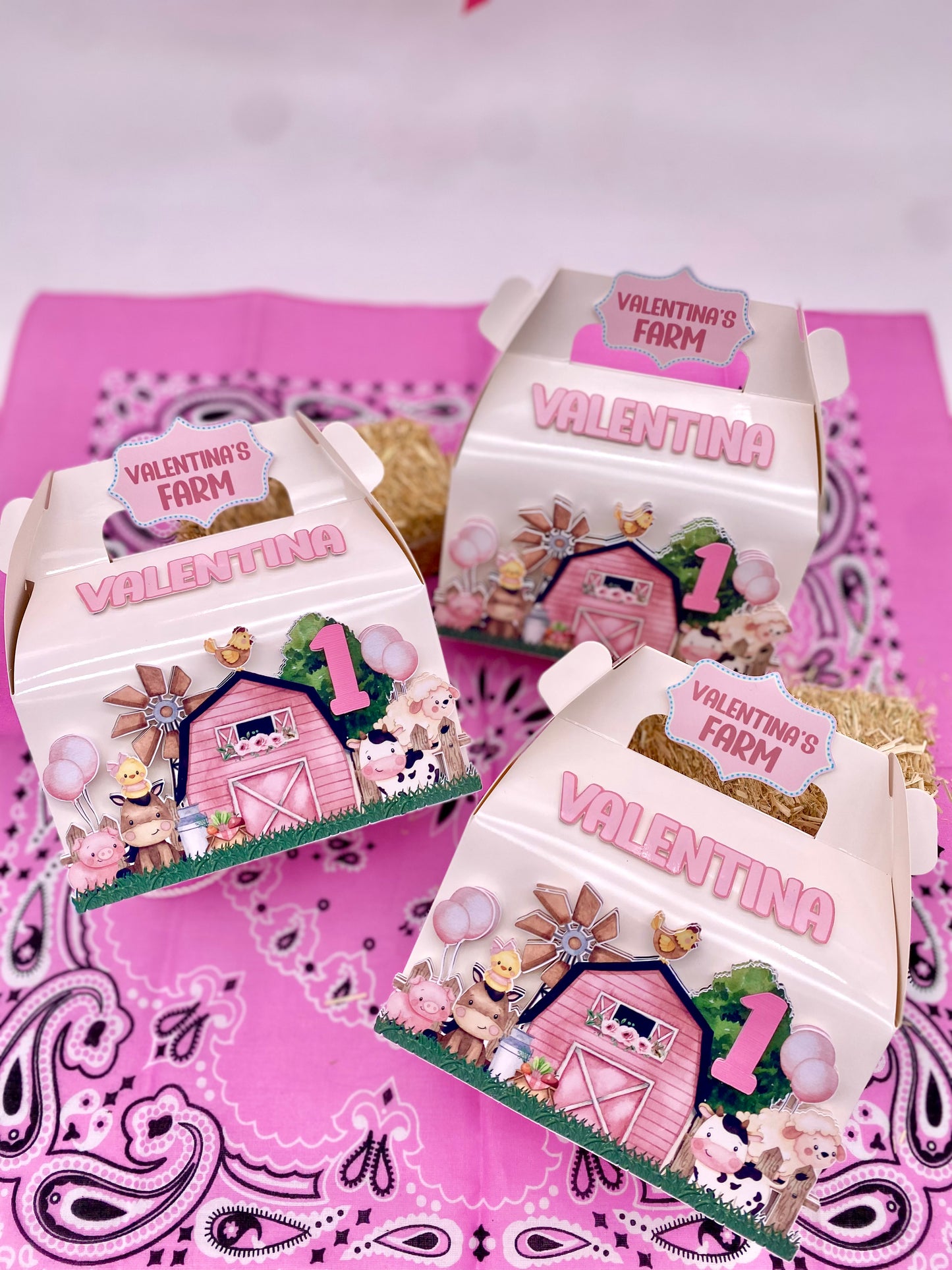 Farm Birthday boxes
