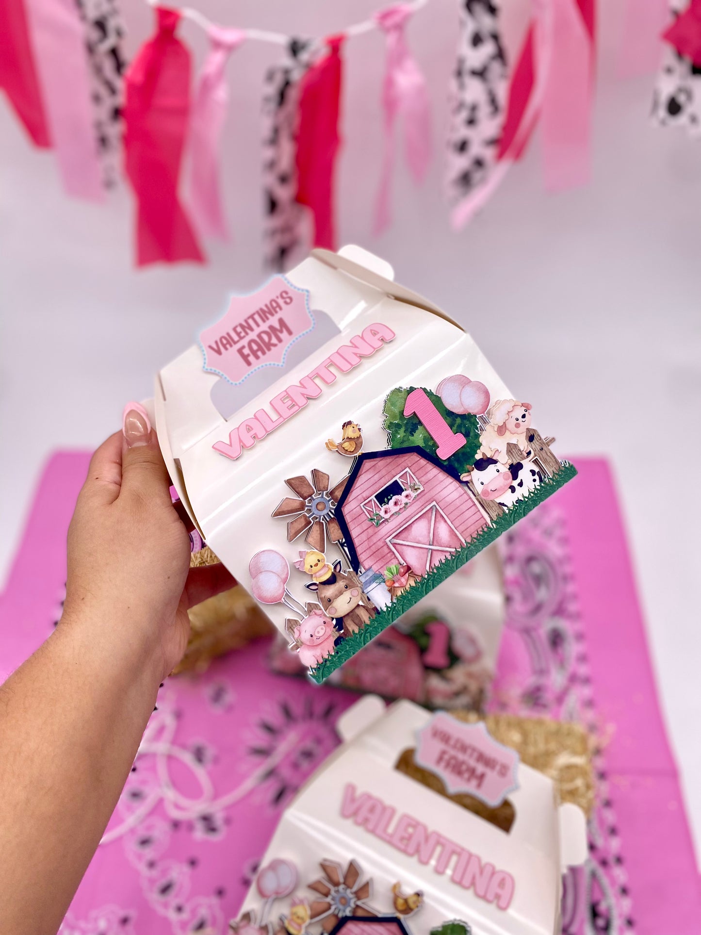 Farm Birthday boxes