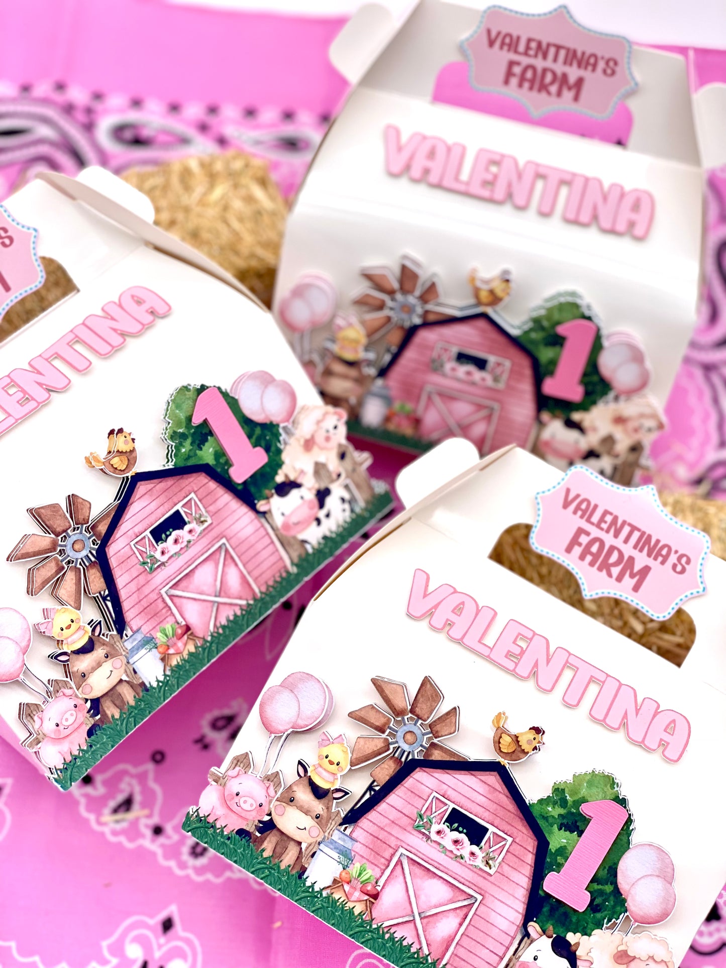 Farm Birthday boxes