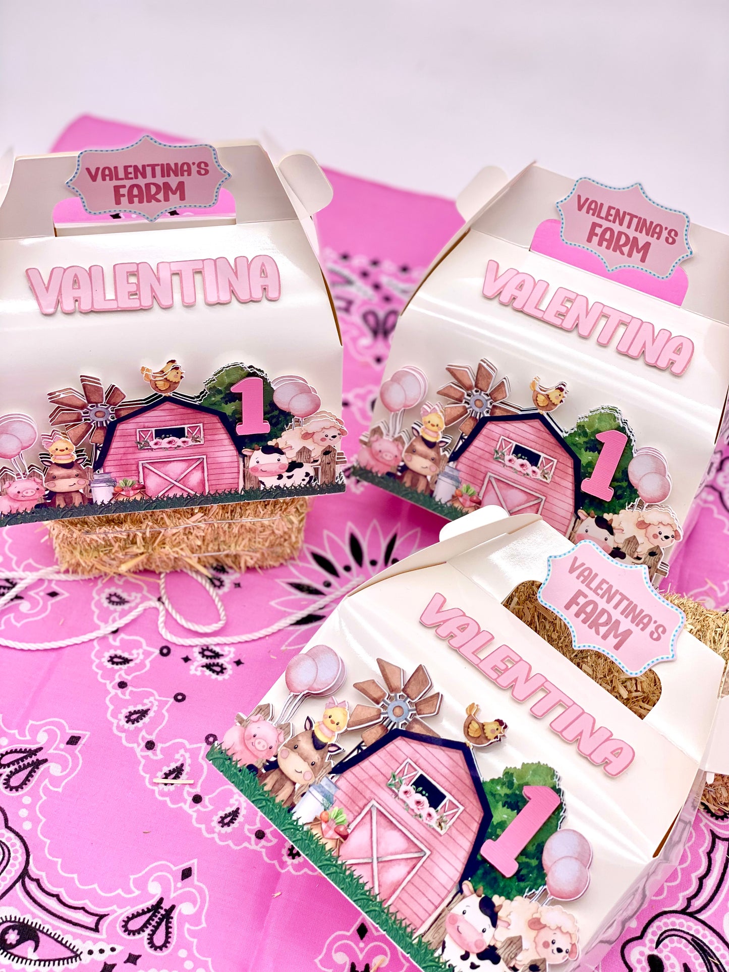 Farm Birthday boxes